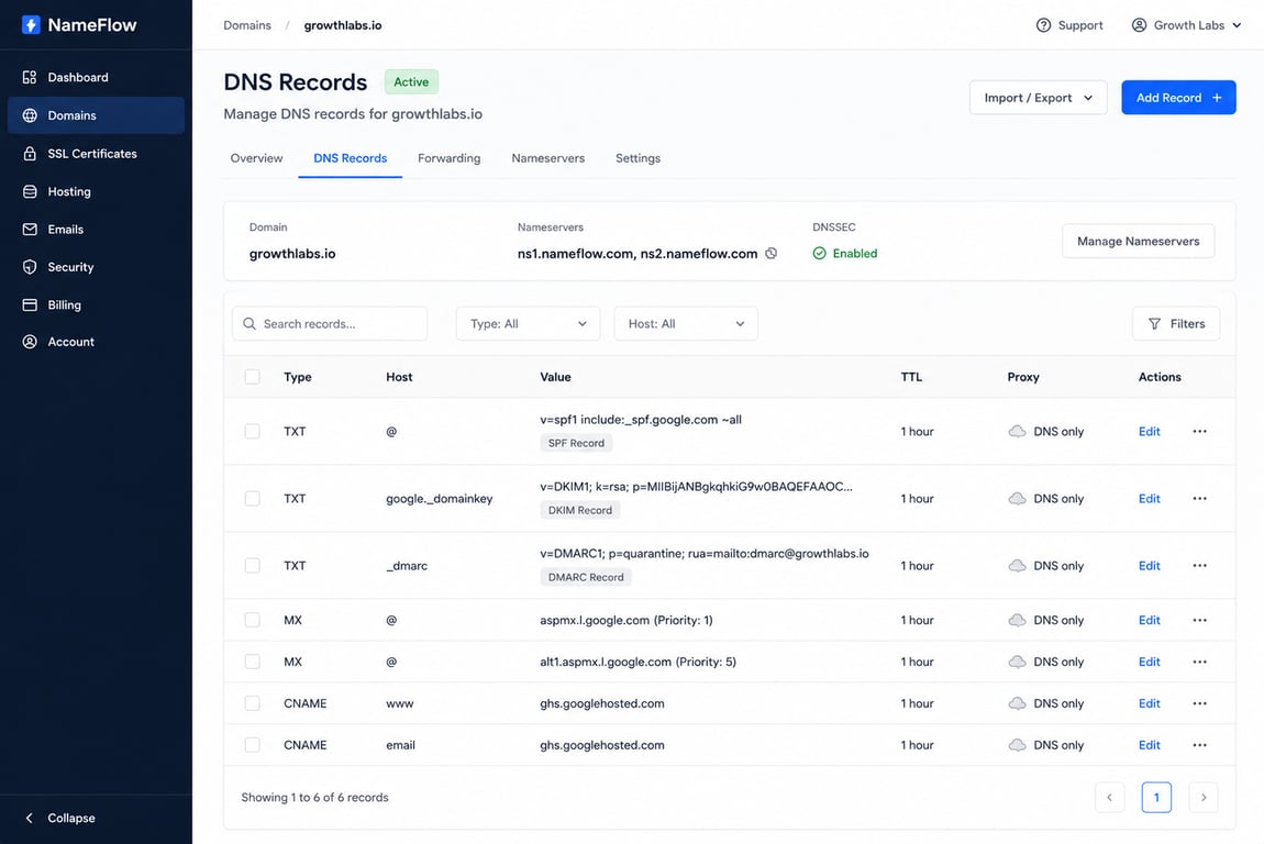 DNS records management interface showing SPF, DKIM, and DMARC TXT records for a secondary domain