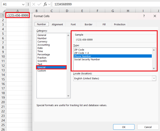 Excel Format Cells dialog with the Special category and the Phone Number type selected