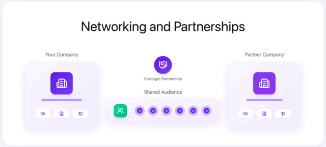 Networking and Partnerships