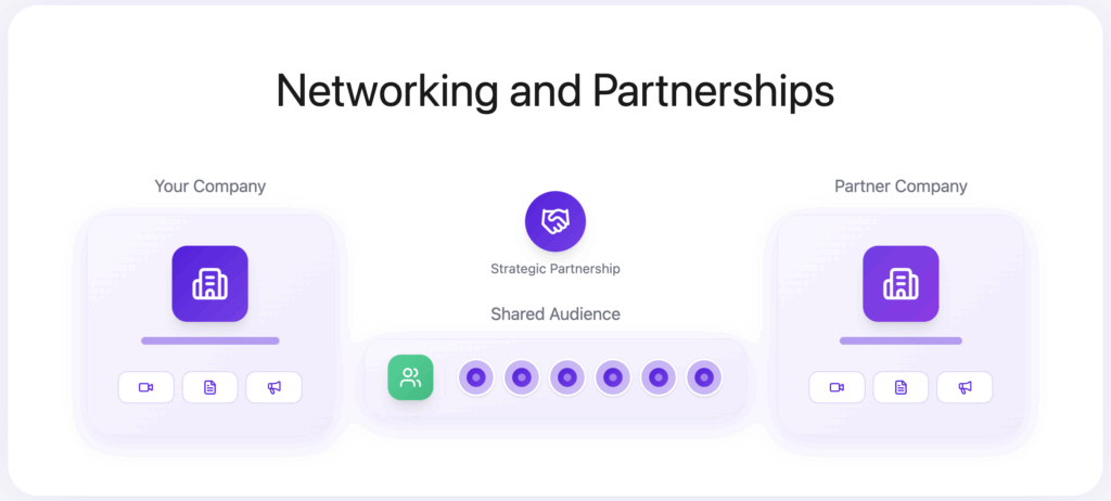 Networking and Partnerships