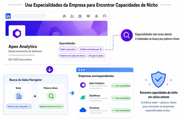 Uso del campo abierto de Specialties de una empresa junto con el filtro de palabras clave para hacer aflorar capacidades de nicho como customer data platform en distintas industrias