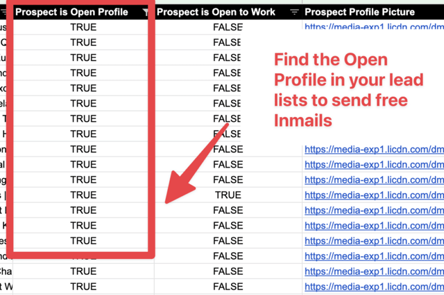 prospect linkedin open profiles