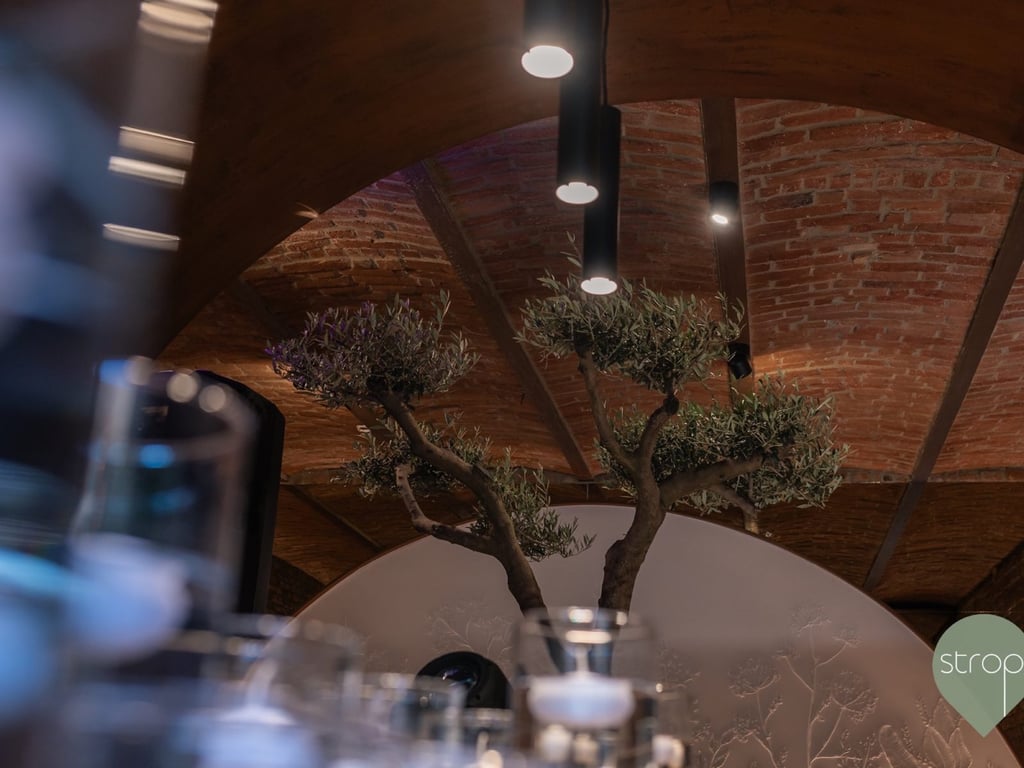 Curtea cu măslini și arcade, Strop Bistro