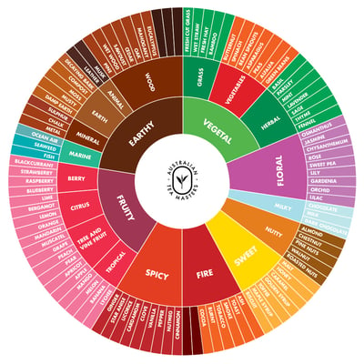 The Australian Tea Masters tea flavour wheel. An essential tool for any tea master.