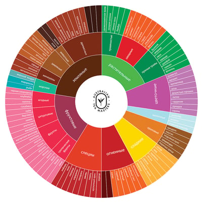 The Australian Tea Masters tea flavour wheel in Russian language. An essential tool for any tea master.