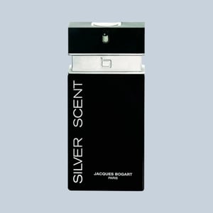 TESTER SILVER SCENT EDT 100ML