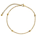 Anklet out of Stainless Steel with PVD-coating (gold color). Length:21,5-27cm. Adjustable length. Shiny.