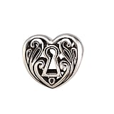 Charm Argent 925 Coeur Amour Feuille Motif_floral Serrure Cl Clef