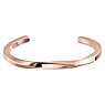 Bangle Stainless Steel PVD-coating (gold color)