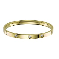 Bangle out of Stainless Steel with Gold-plated. Width:5,5mm. Diameter:60mm. Shiny. Stone(s) are fixed in setting.
