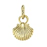 PAUL HEWITT Charm Stainless Steel PVD-coating (gold color) Shell