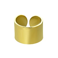 Clip oreja de Acero fino con Revestimiento PVD (color oro). Ancho:6mm. brillante.