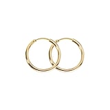 Surgical steel hoop earrings Surgical Steel 316L PVD-coating (gold color)