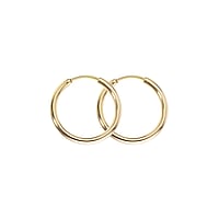 Hoops out of Surgical Steel 316L with PVD-coating (gold color). Cross-section:2mm. Weight:1,5g. Shiny.