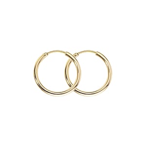 Surgical steel hoop earrings Surgical Steel 316L PVD-coating (gold color)