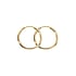 Surgical steel hoop earrings Surgical Steel 316L PVD-coating (gold color)