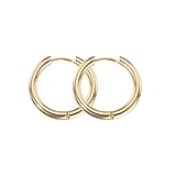 Surgical steel hoop earrings Surgical Steel 316L PVD-coating (gold color)