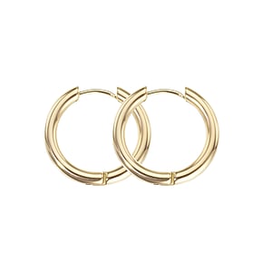 Surgical steel hoop earrings Surgical Steel 316L PVD-coating (gold color)