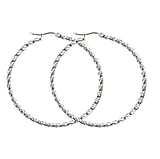 Hoops Stainless Steel Spiral