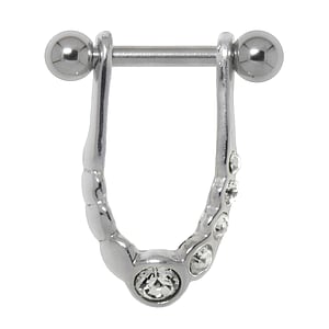 Piercing orecchio Metallo chirurgico 316L Ottone con rivestimento in argento Cristallo Eterno Eterna Passante