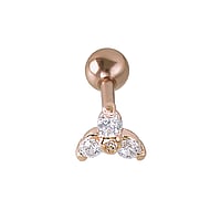 Oorpiercing uit Chirurgisch staal 316L en Zilver 925 met PVD laag (goudkleurig) en Zirkonia. Lengte staafje:6mm. Schroefdraad:1,2mm. Breedte:6mm. bolsluitingen:4mm. Steen/stenen met vatting gefixeerd.  bloem blad blaadje plantpatroon