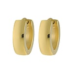 Hoops out of Surgical Steel 316L with PVD-coating (gold color). Width:4mm. Diameter:13mm. Shiny. Rounded.