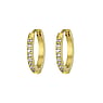 Hoops Surgical Steel 316L zirconia PVD-coating (gold color)