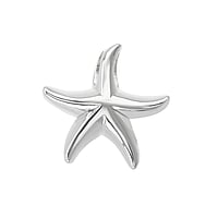 Stainless steel pendant Width:18mm. Eyelet's transverse diameter:2,3mm. Eyelet's longitudinal diameter:4,1mm. Shiny.  Starfish