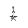 Stainless steel pendant Stainless Steel Star Leaf Plant_pattern