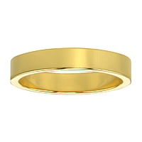 Stalen ring uit Staal met PVD laag (goudkleurig). Breedte:4mm. Eenvoudig. Vlak. Glanzend.