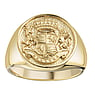 Stainless steel ring Stainless Steel Gold-plated Lion Crown