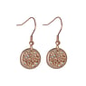 Fashion dangle earrings Surgical Steel 316L Crystal PVD-coating (gold color) Leaf Plant_pattern