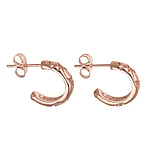 Fashion ear studs Surgical Steel 316L PVD-coating (gold color) Leaf Plant_pattern