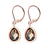 Fashion dangle earrings Surgical Steel 316L Crystal PVD-coating (gold color)