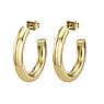 Fashion ear studs Stainless Steel PVD-coating (gold color)