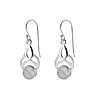 Silver earrings with stones Silver 925 Rainbow Moonstone Leaf Plant_pattern