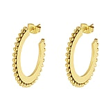 Fashion ear studs Stainless Steel PVD-coating (gold color)