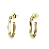 Genuine gold earring(s) 14K gold