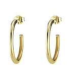 Genuine gold earring(s) with 14K gold. Cross-section:2mm. Diameter:22mm. Shiny.