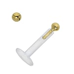 Labret piercing out of Bioplast with 18K Gold. Thread:1,6mm. Width:1,9mm.