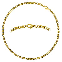 Collares de Acero fino con Revestimiento PVD (color oro). Corte transversal:4,4mm. Dimetro transversal mnimo:4,4mm. Dimetro longitudinal mnimo:6mm.