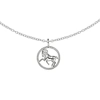 Necklace out of Silver 925. Diameter:12mm. Length:45cm.  Star sign Horoscope