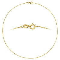 Collana d'argento placcato oro con Dorato. Sezione:1,3mm. Diametro trasversale minimo:1,3mm. Diametro longitudinale minimo:2,8mm. brillante.