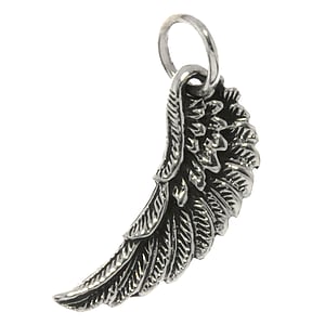 Pendentifs en argent Argent 925 Aile