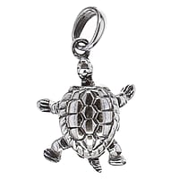 Largeur:14mm. Diamtre d'oeillet transversal:3,6mm. Diamtre d'oeillet longitudinal:4,5mm.  Tortue