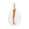 Stainless steel pendant Stainless Steel PVD-coating (gold color) Sea shell