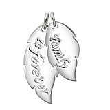 Pendentifs en argent Argent 925 Aile Plume