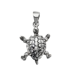 Zilveren hanger Zilver 925 schildpad