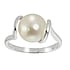 Anillo de plata con perlas Plata 925 Perla de agua dulce