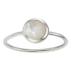 Silver ring with Sea shell. Width:8mm. Shiny.